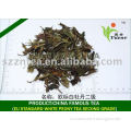 EU STANDARD peony tea organic green tea high quality tea